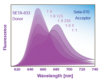 The energy transfer (FRET) between a Seta-633 (donor)-labeled antibody and a Seta-670 (acceptor)-labeled antigen