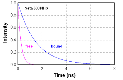 Comparison of the intensity decays of Seta-633 before and after binding to protein or oligos 