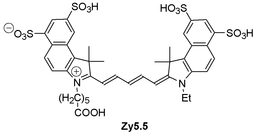 Zy5.5 label is a structural analog of Cy5.5 reactive dye 