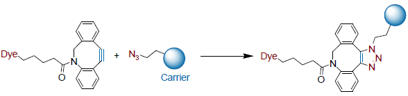 Cu-free, strain-mediated cycloaddition